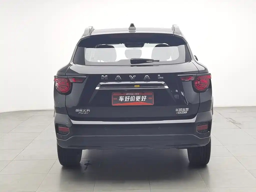 Haval Big Dog PLUS New Energy — миниатюра 4