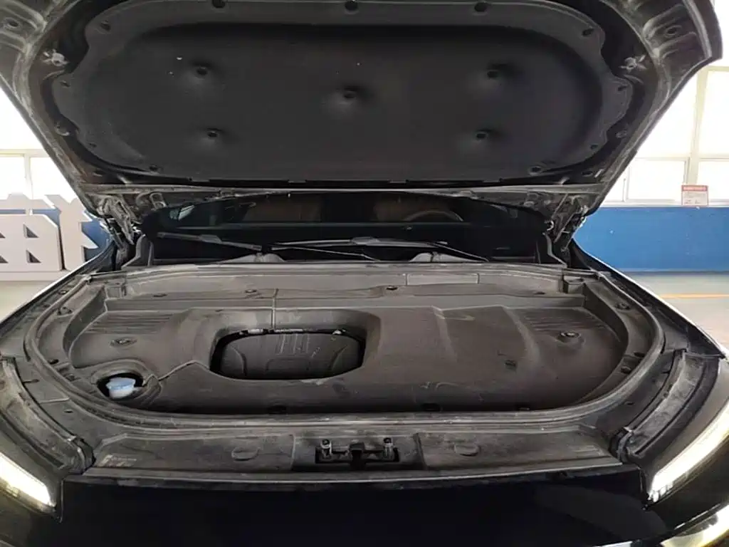 Wey Wey Lanshan — миниатюра 25
