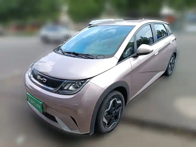 2023 BYD Dolphin