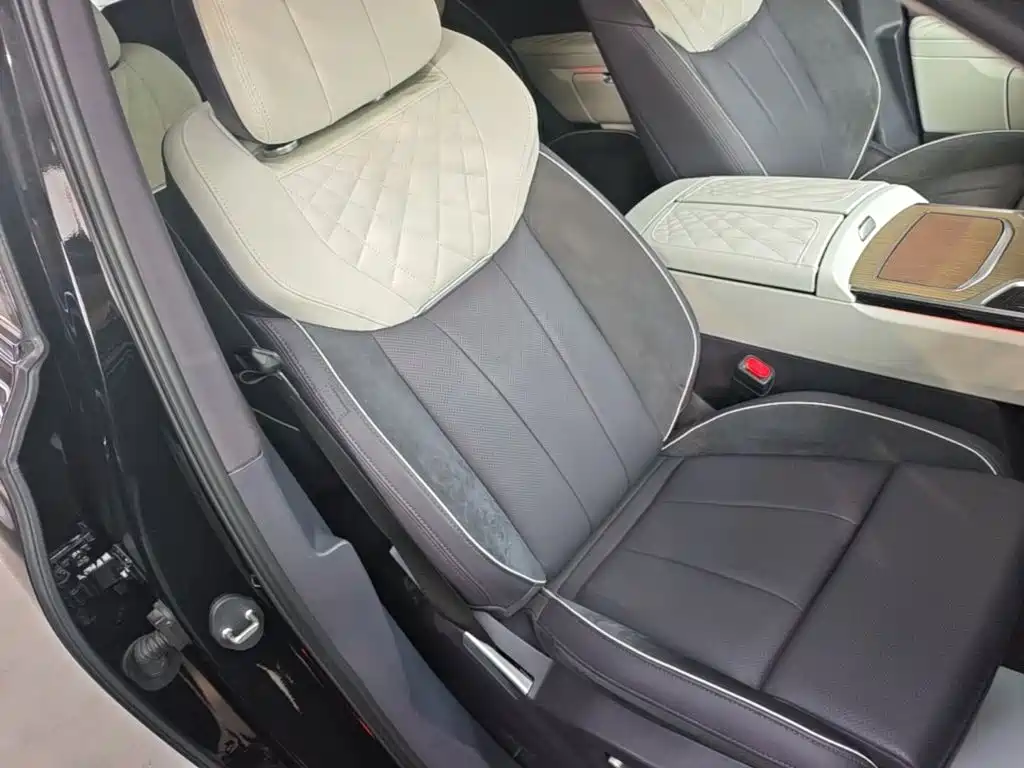 Hongqi Hongqi E-HS9 — миниатюра 25