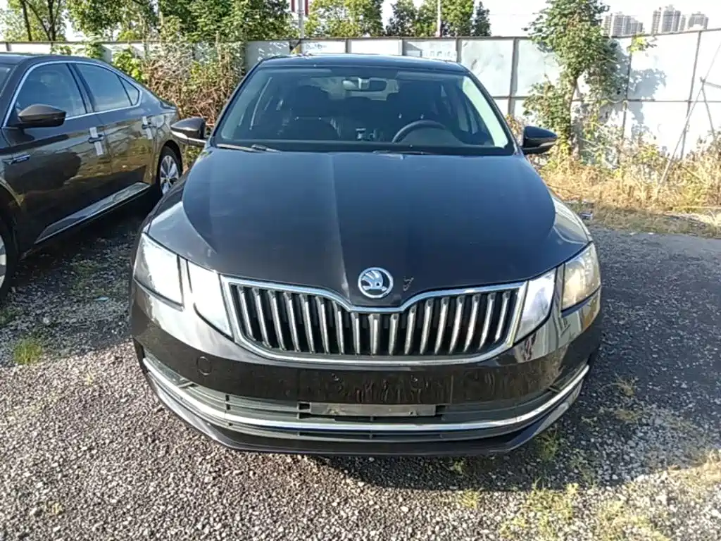 Skoda Octavia — миниатюра 3