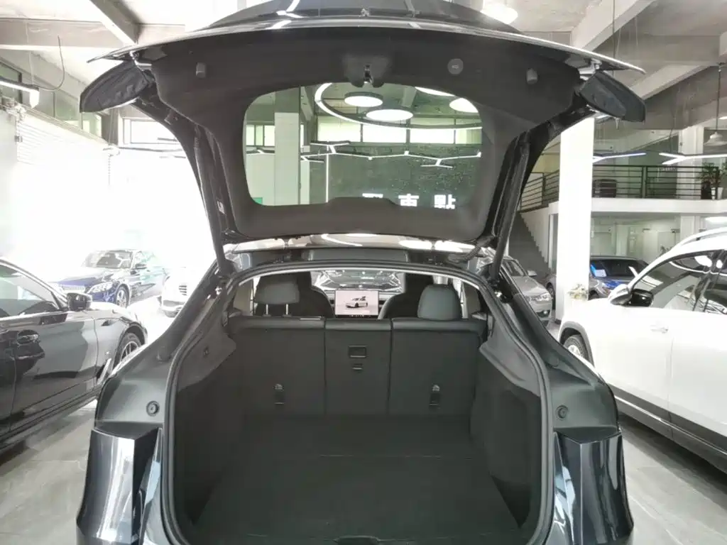Tesla Model Y — миниатюра 19