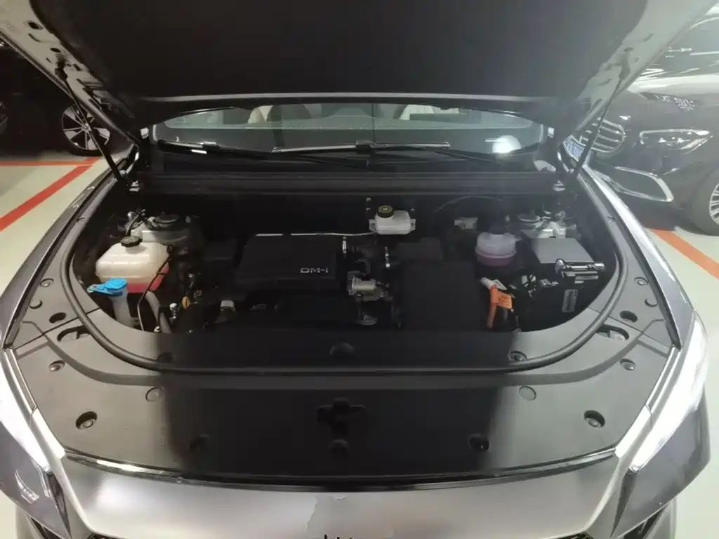 BYD Pro New Energy — миниатюра 20