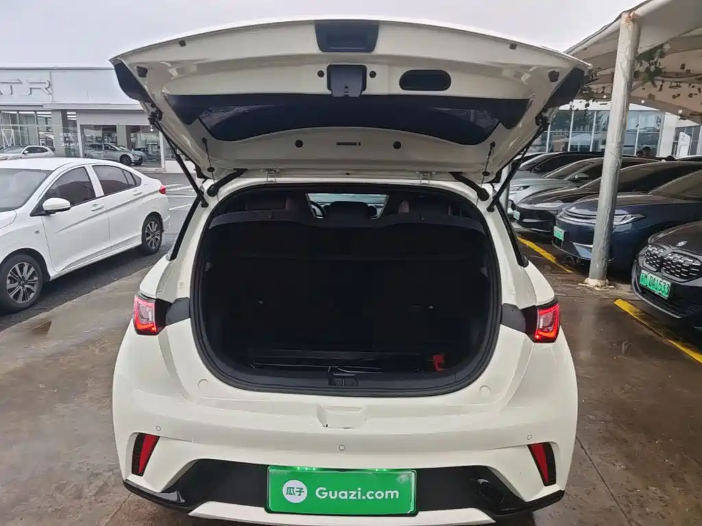 BYD Dolphin — миниатюра 19