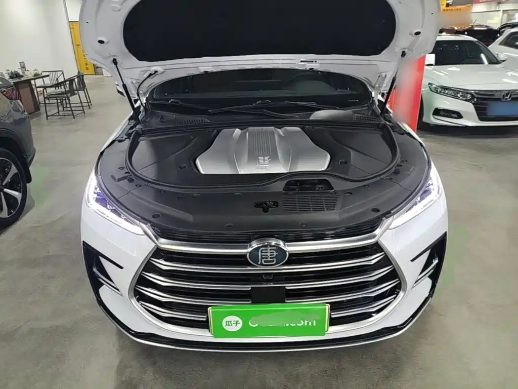 BYD Tang New Energy — миниатюра 20