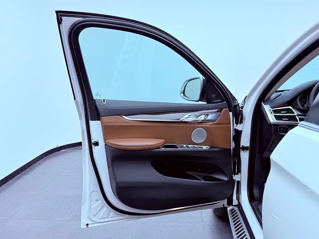BMW X6 — миниатюра 8