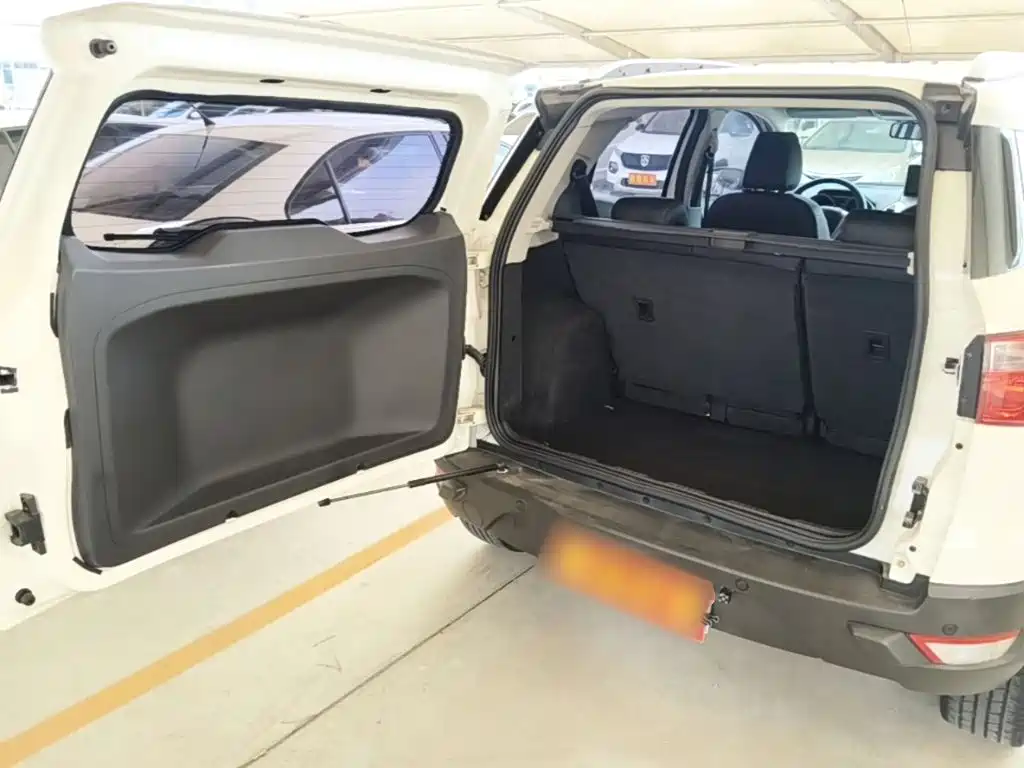 Ford Ecosport — миниатюра 19