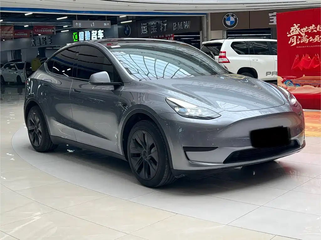 Tesla Model Y — миниатюра 3