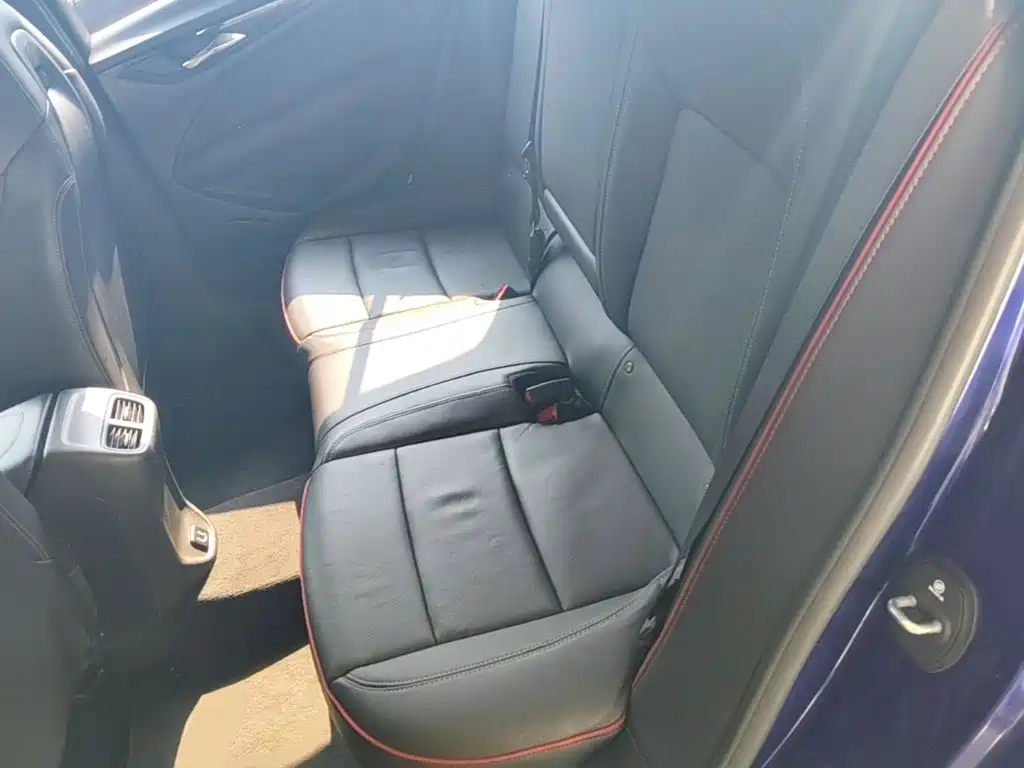 Buick Regal — миниатюра 17