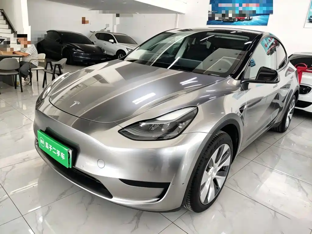 Tesla Model Y — миниатюра 2