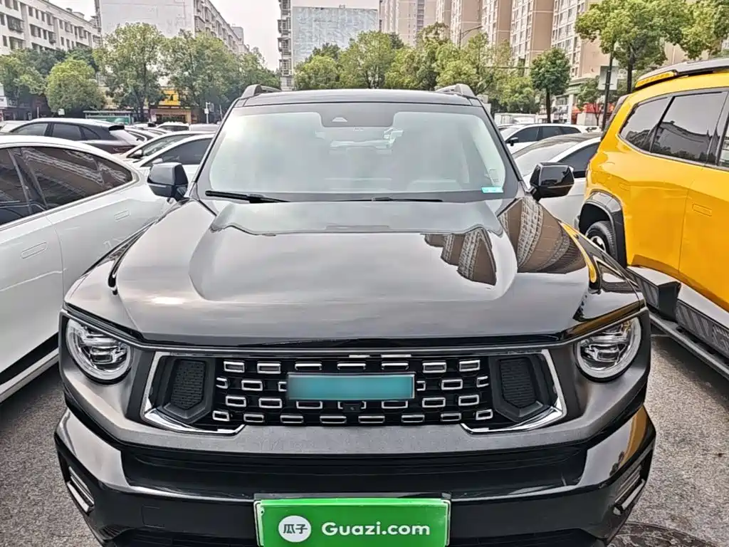 Haval Big Dog PLUS New Energy — миниатюра 3