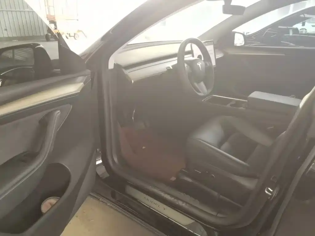 Tesla Model Y — миниатюра 16