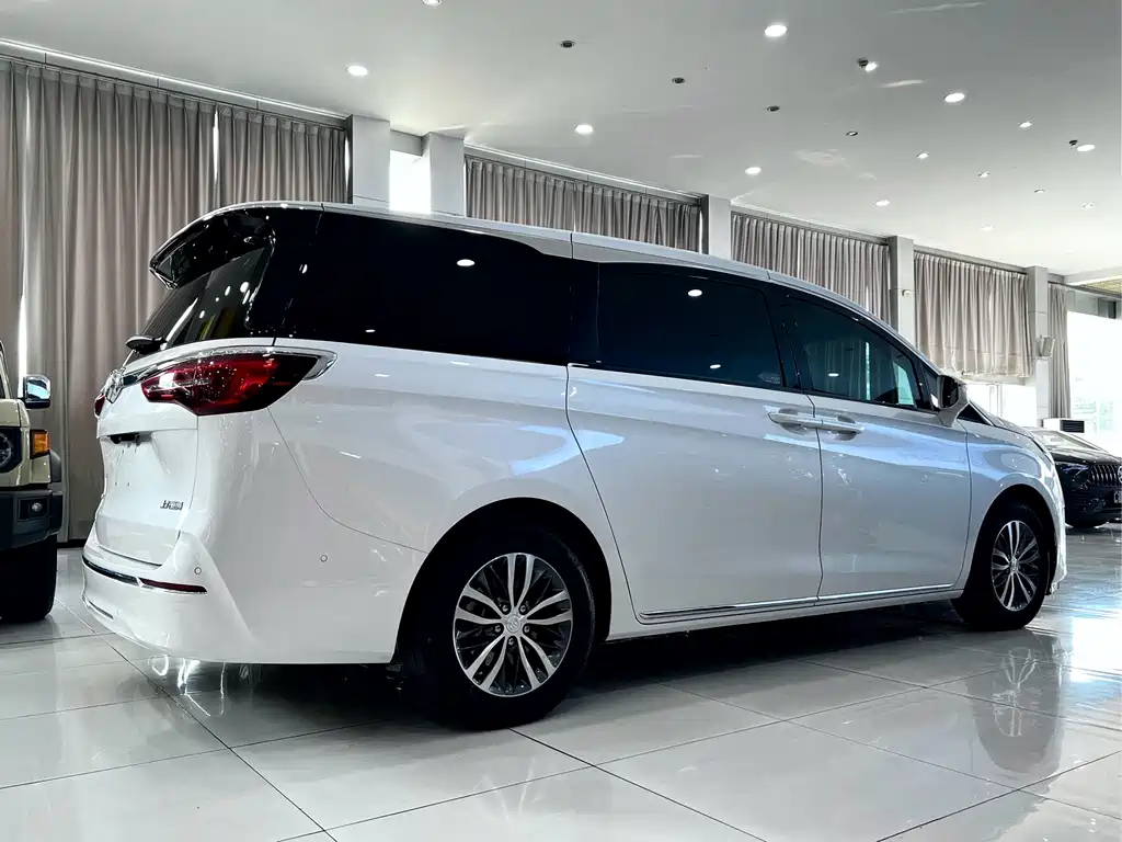 Buick GL8 — миниатюра 4