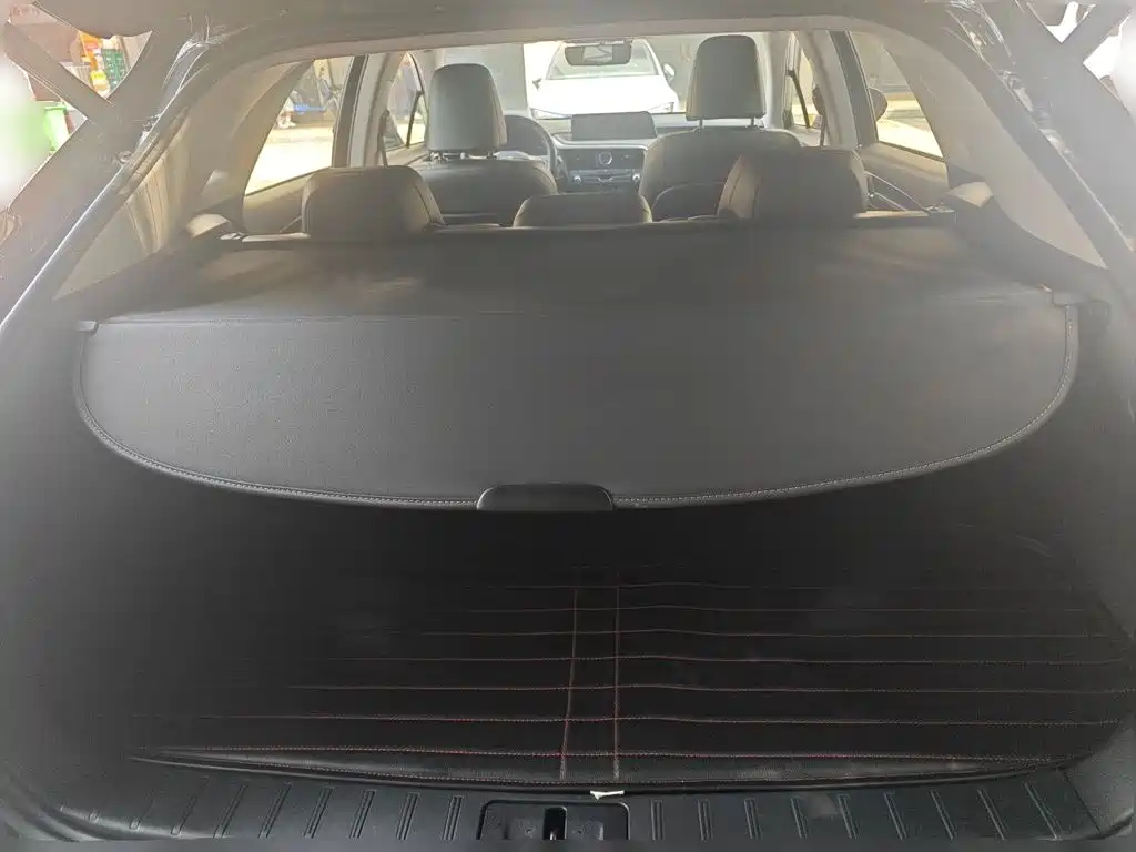 Lexus RX — миниатюра 20
