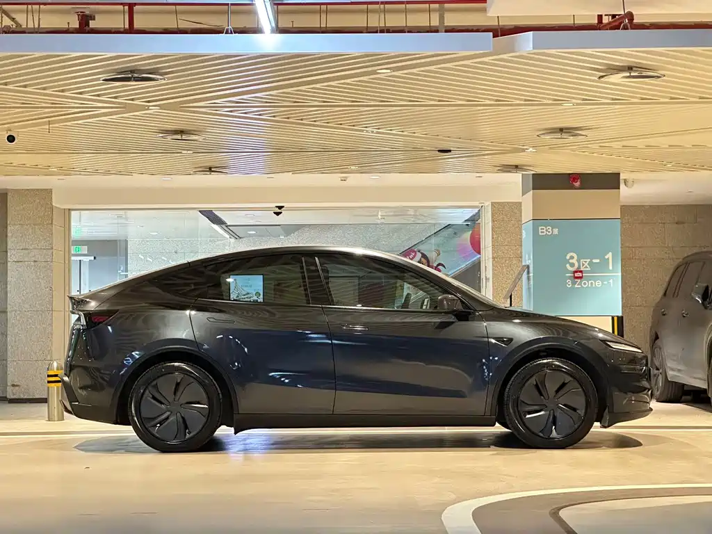 Tesla Model Y — миниатюра 4
