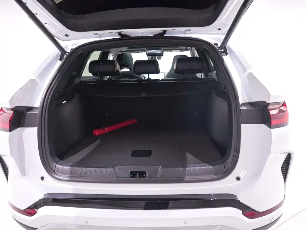 BYD PLUS New Energy — миниатюра 21