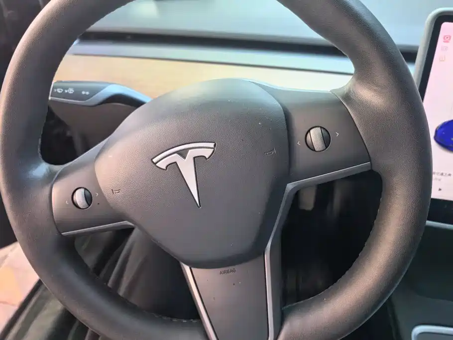 Tesla Model 3 — миниатюра 15