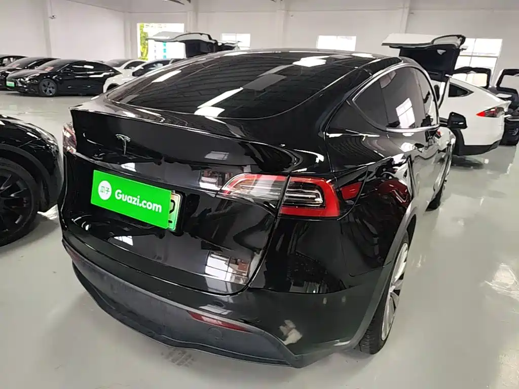 Tesla Model Y — миниатюра 7