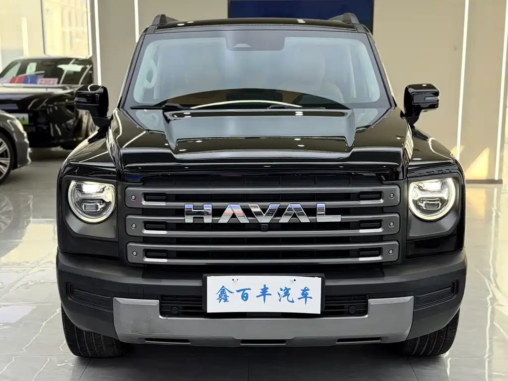 Haval Menglong New Energy — миниатюра 2