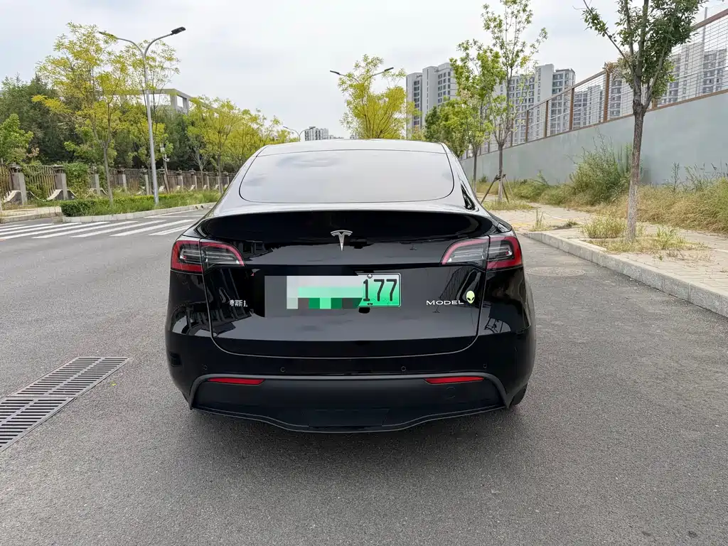 Tesla Model Y — миниатюра 8