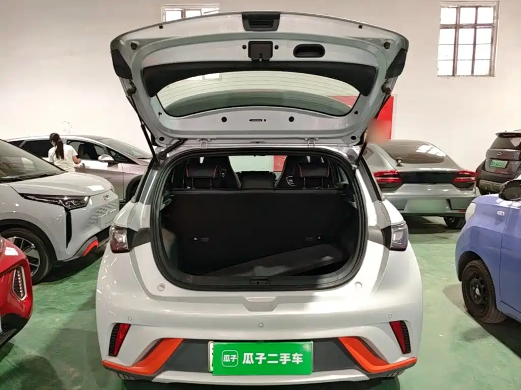 BYD Dolphin — миниатюра 19