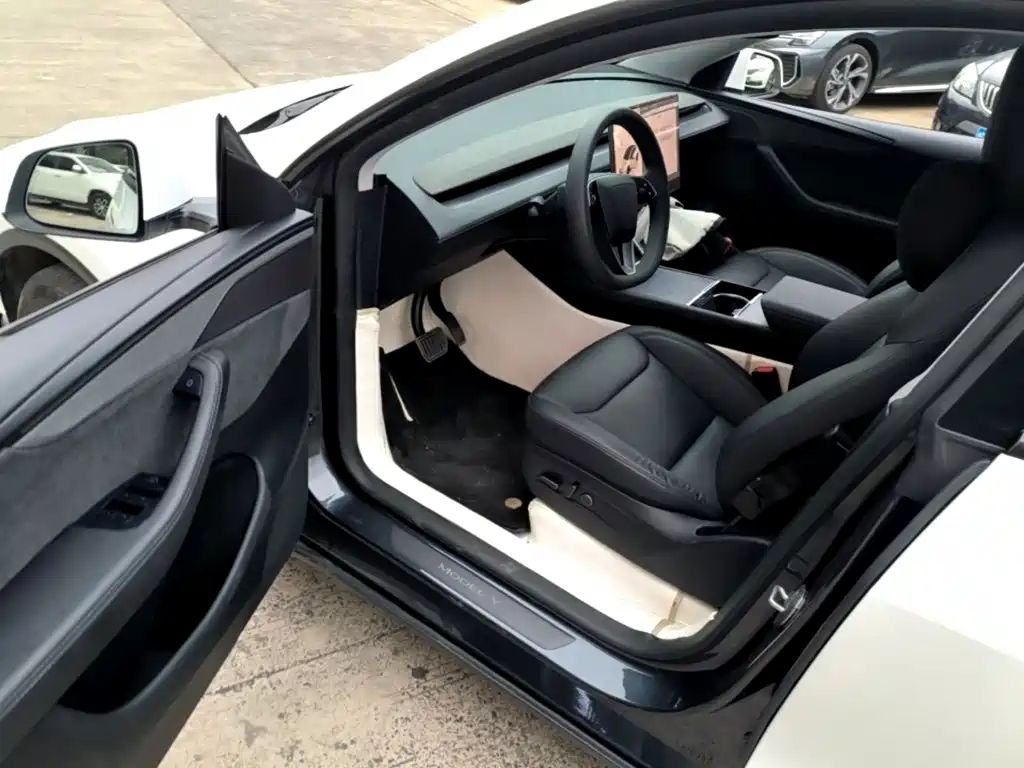 Tesla Model Y — миниатюра 16