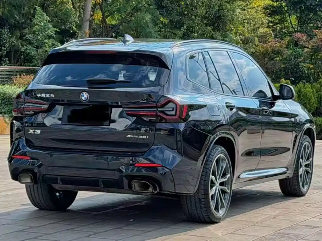 BMW X3 — миниатюра 8