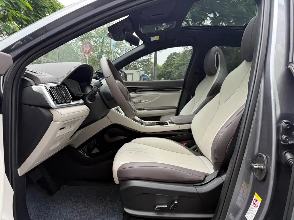 BYD PLUS — миниатюра 9