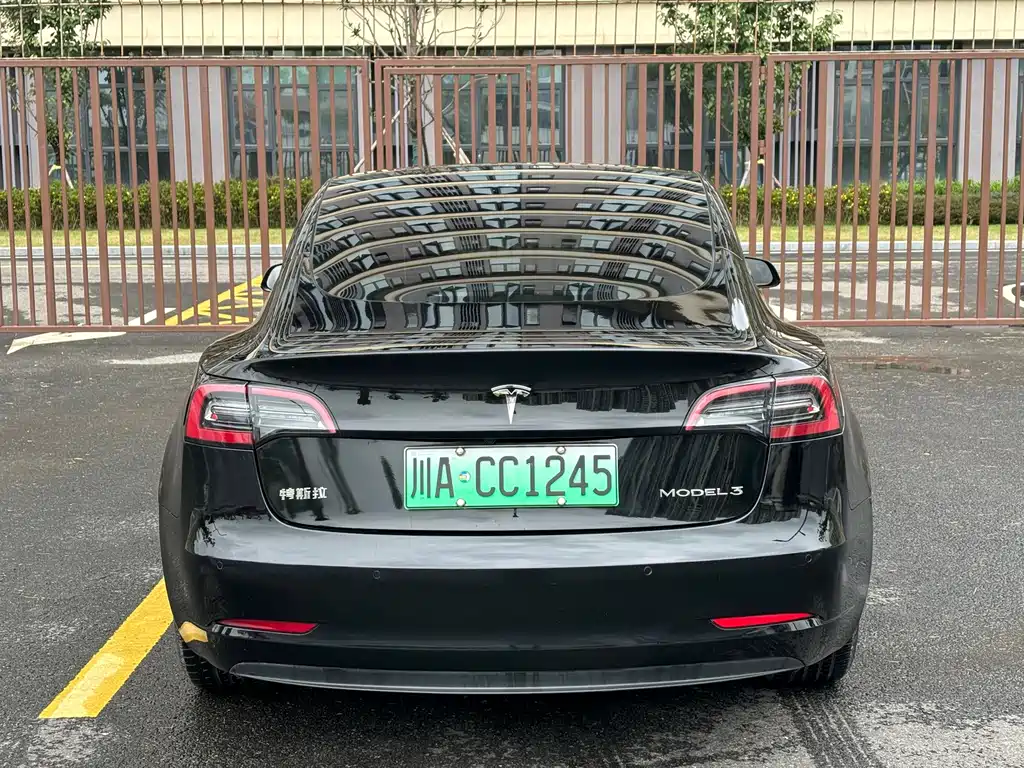 Tesla Model 3 — миниатюра 26