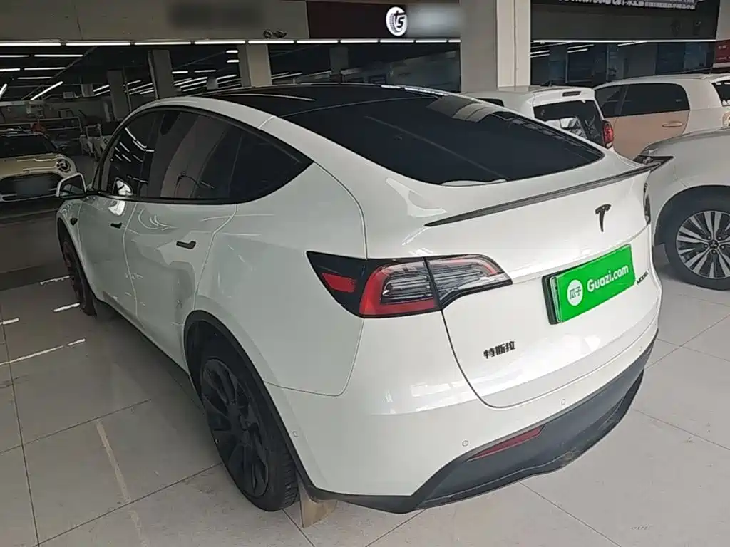 Tesla Model Y — миниатюра 5
