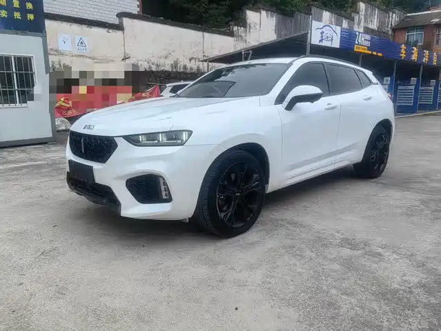 WEI PAI WEI BRAND VV7 2019