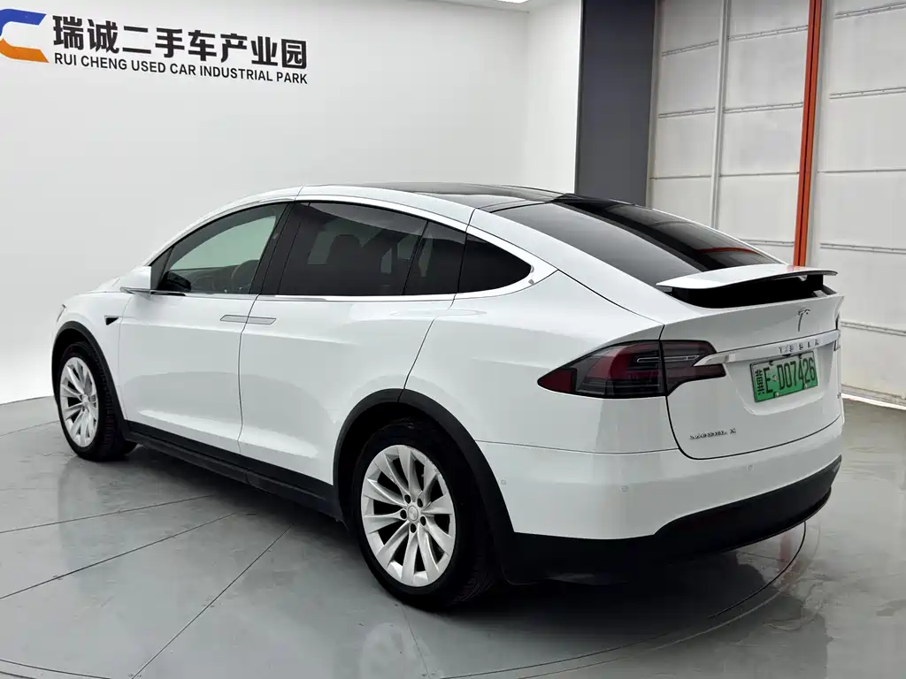 Tesla Model X — миниатюра 8