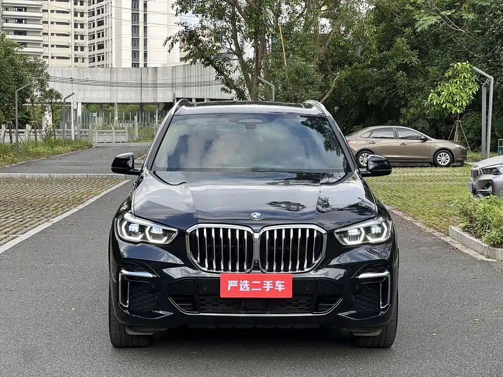 BMW X5 — миниатюра 2