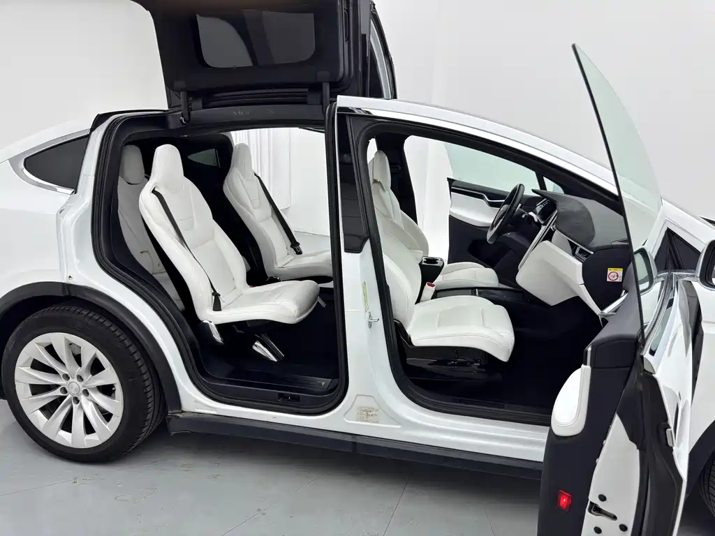 Tesla Model X — миниатюра 11