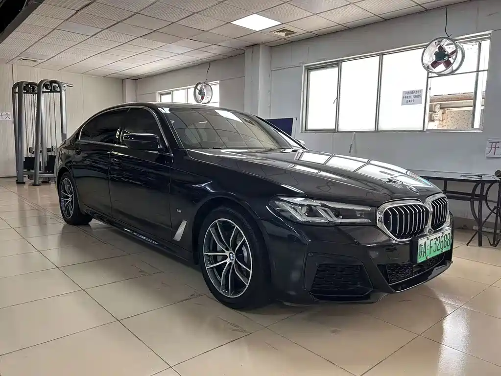 BMW 5 Series New Energy — миниатюра 4