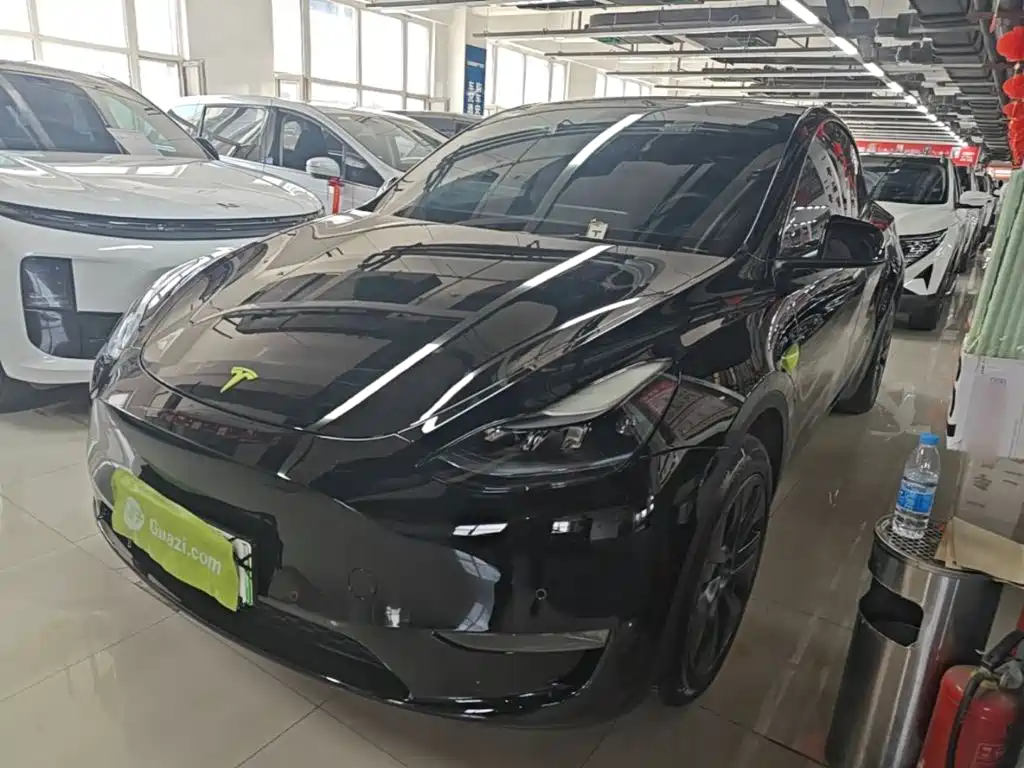Tesla Model Y — миниатюра 2