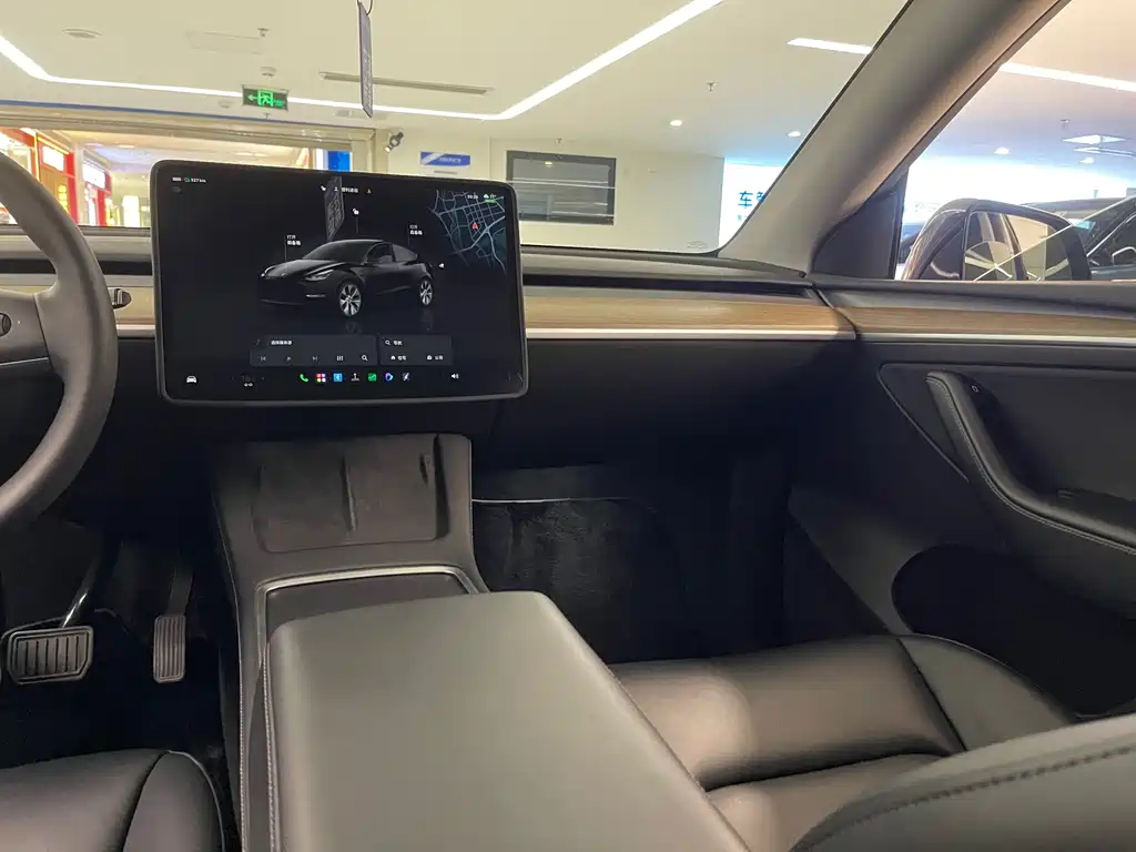 Tesla Model Y — миниатюра 8