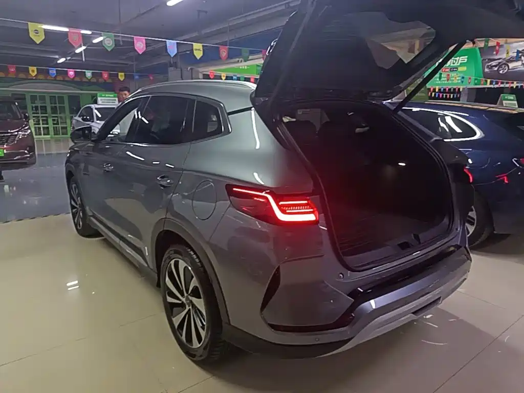 BYD PLUS New Energy — миниатюра 5