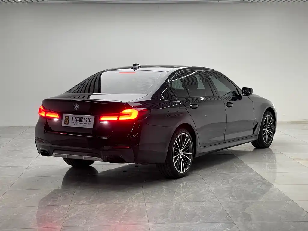 BMW 5 Series — миниатюра 6