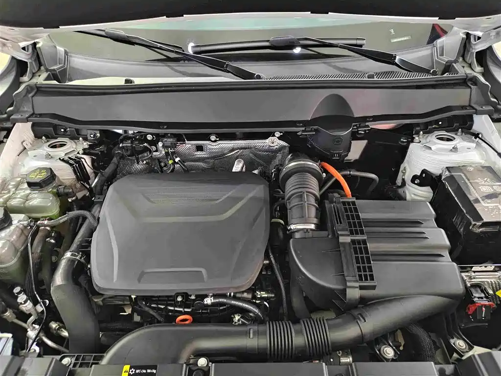 Haval Big Dog PLUS New Energy — миниатюра 11
