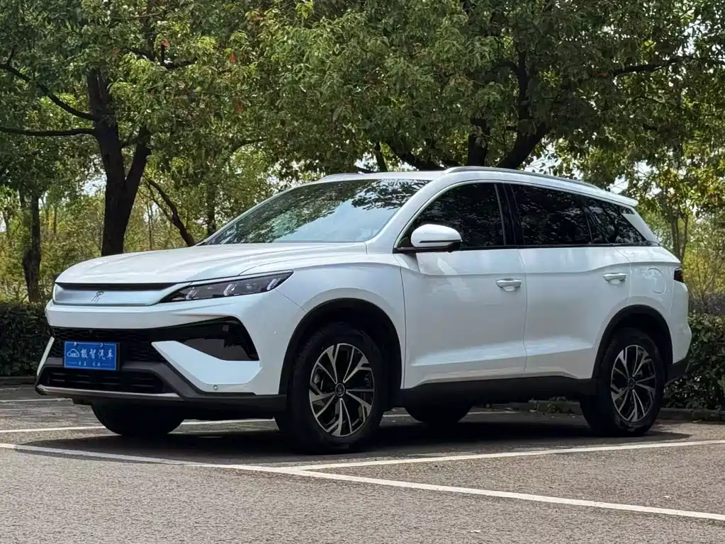 BYD Pro New Energy