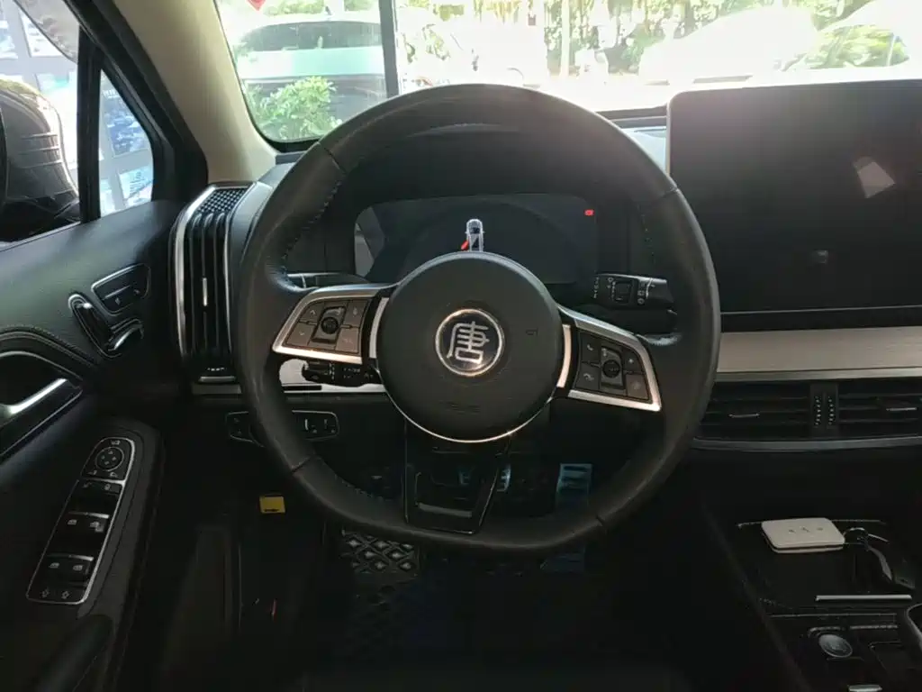 BYD Tang New Energy — миниатюра 11