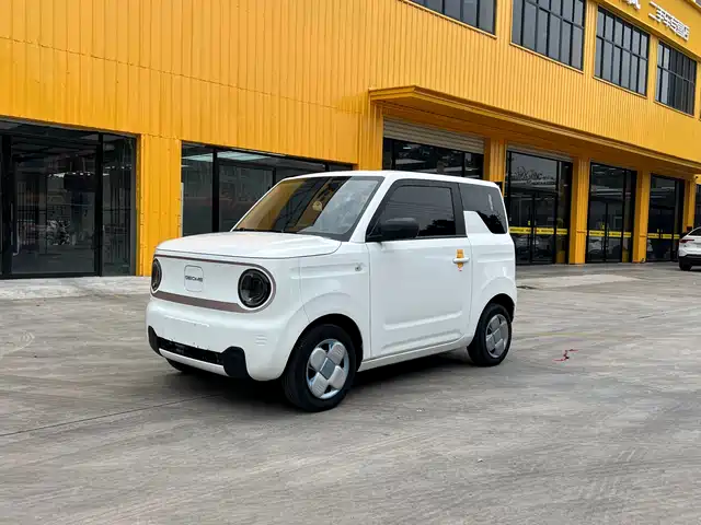 2023 Geely LC (Panda)