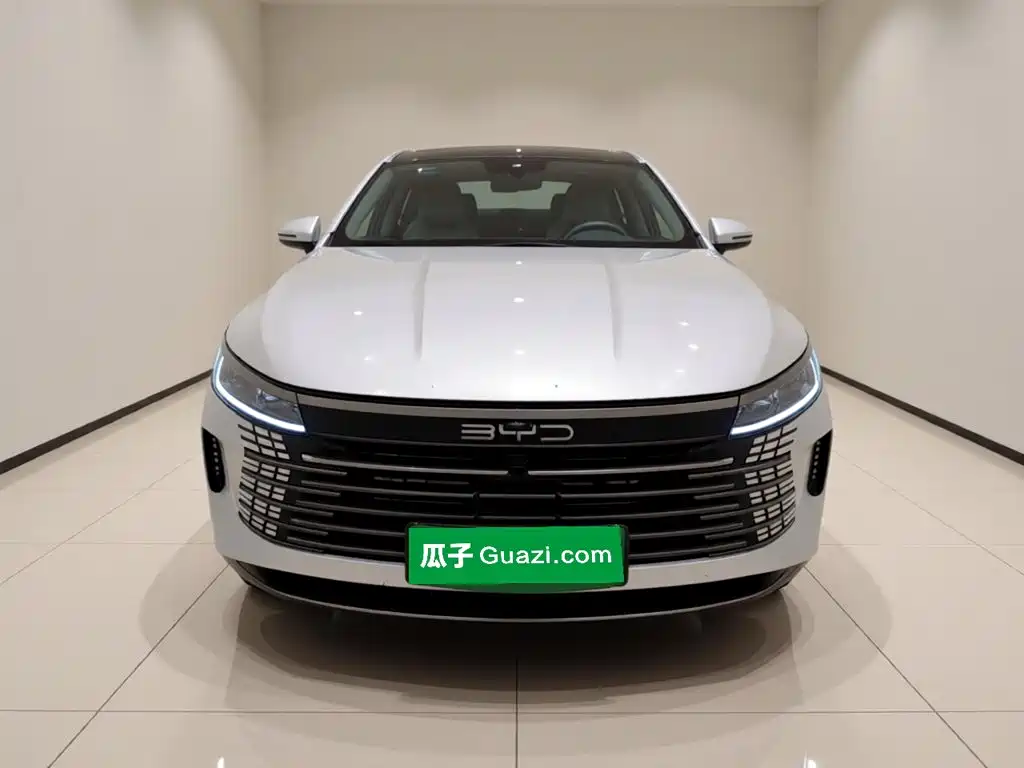 BYD Destroyer 05 — миниатюра 2