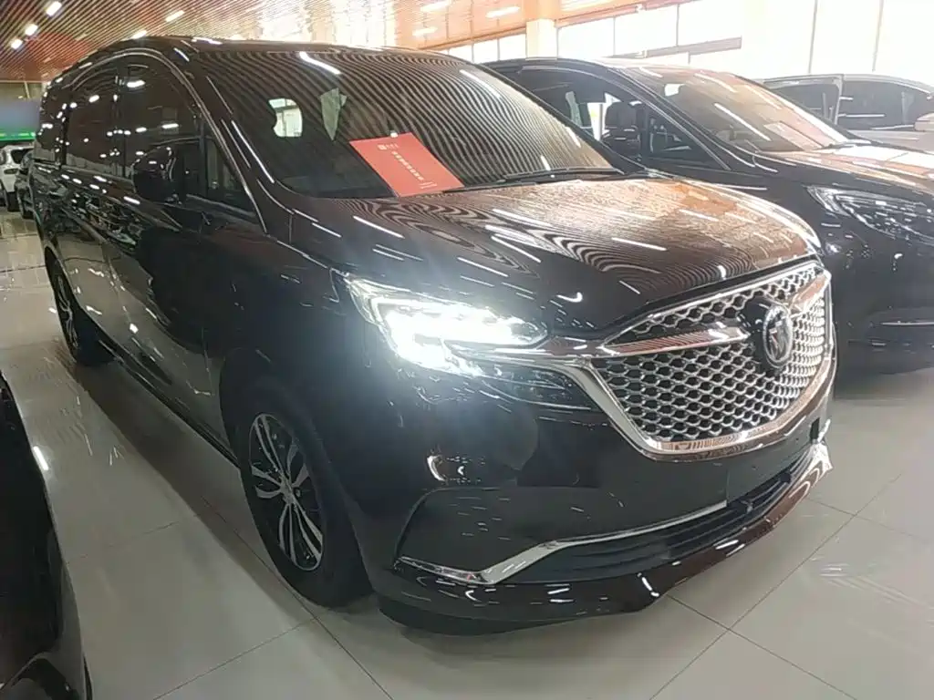Buick GL8 — миниатюра 4
