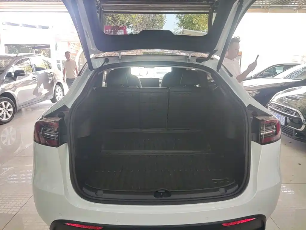 Tesla Model Y — миниатюра 19