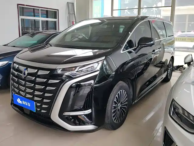 2024 Denza D9