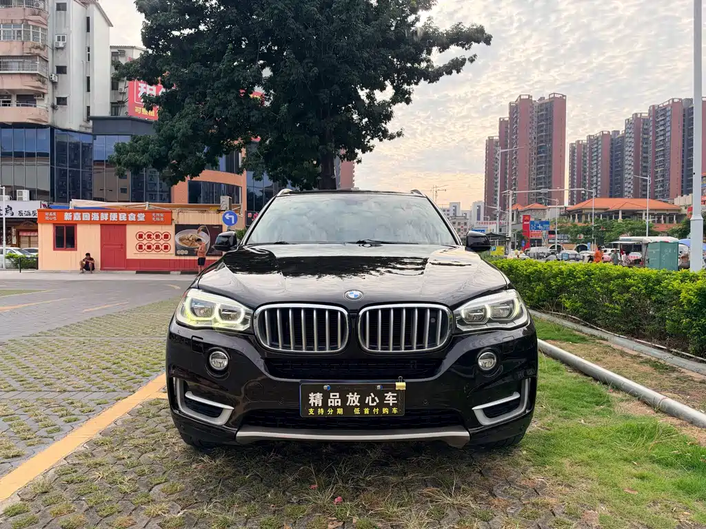 BMW X5 (Import) — миниатюра 2