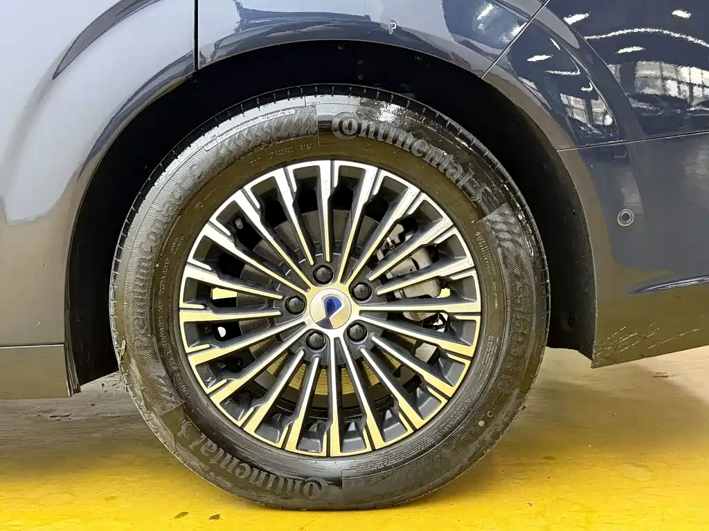 Denza Denza D9 — миниатюра 12