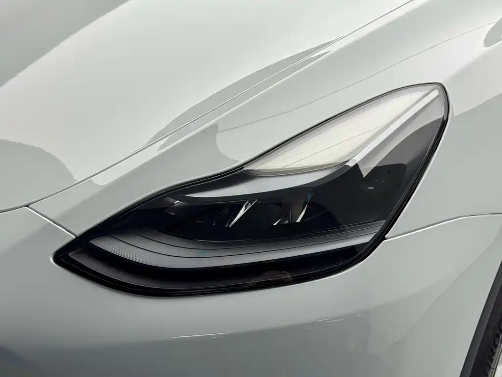 Tesla Model Y — миниатюра 7